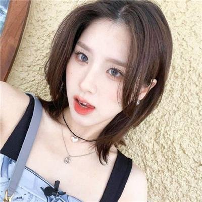 新猛龙过江 封面